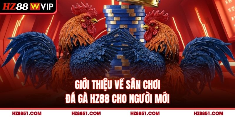 Giới thiệu về sân chơi đá gà HZ88 cho người mới